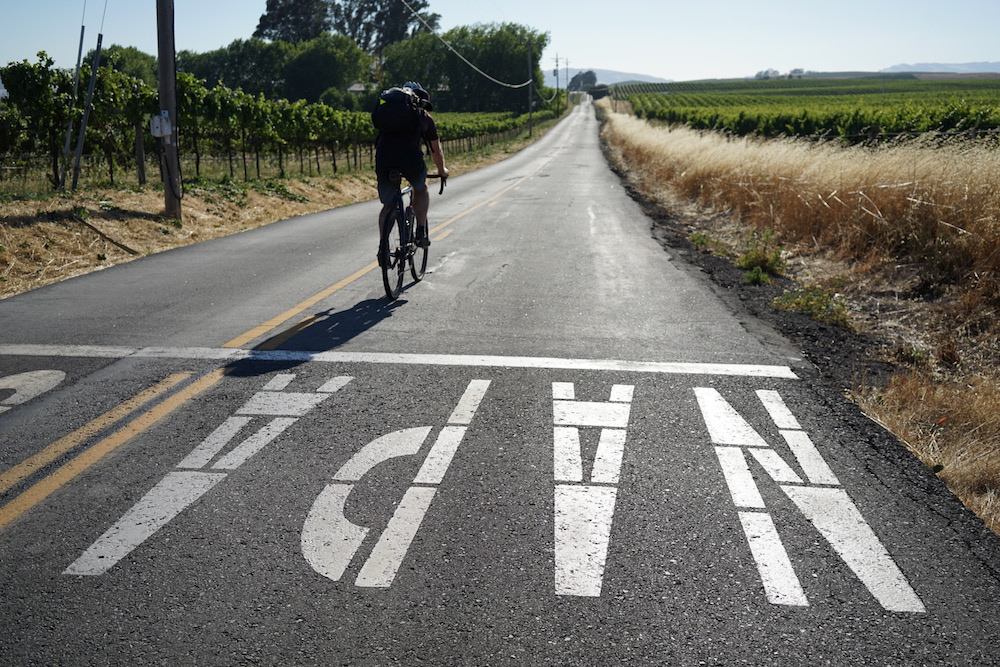 1st 50-mile bike ride Napa Valley Wine and Bike Tour 8798