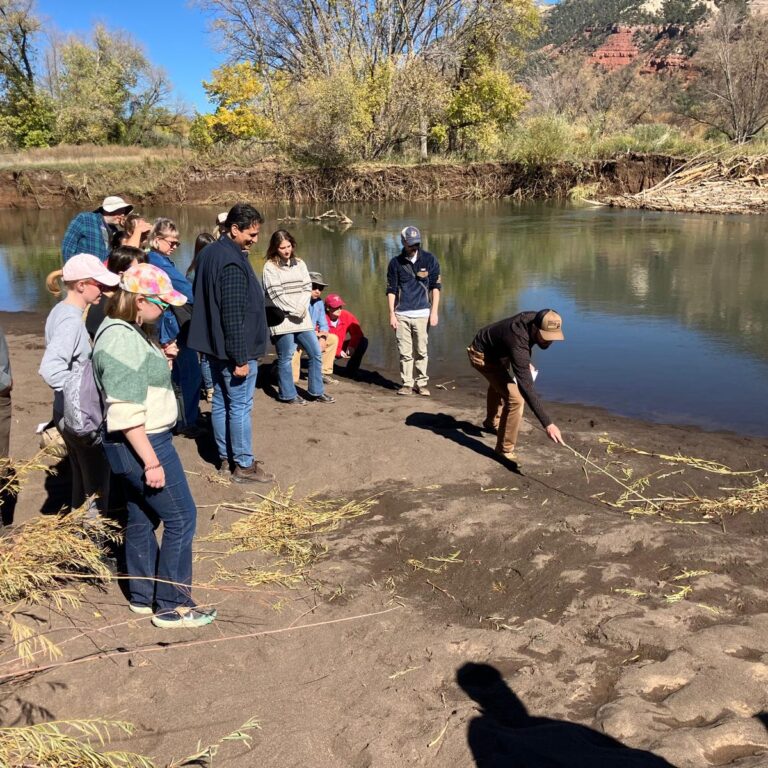 Four Corners Wildlife track & sign course
